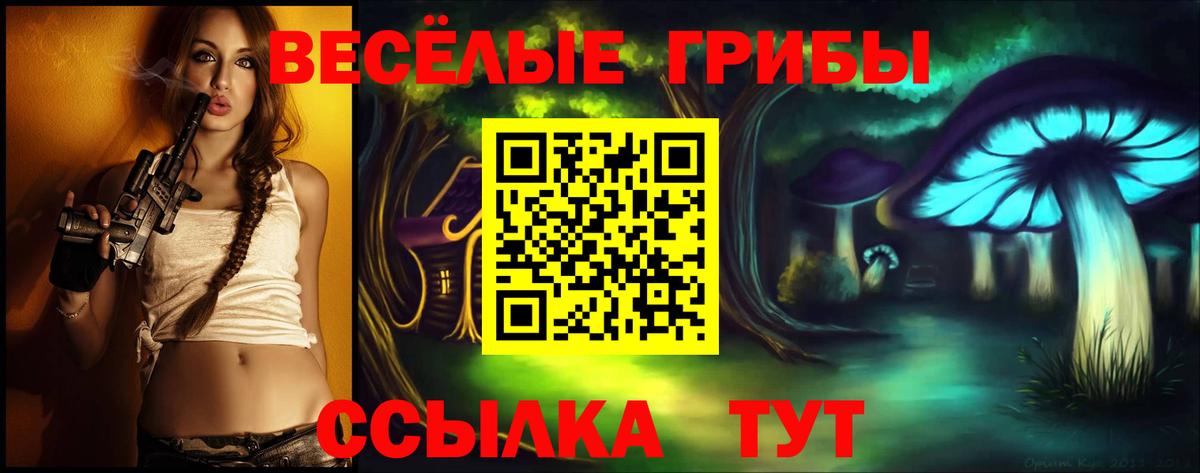 Галлюциногенные грибы Psilocybine cubensis Татарск